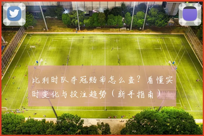 比利时队夺冠赔率怎么查？看懂实时变化与投注趋势（新手指南）